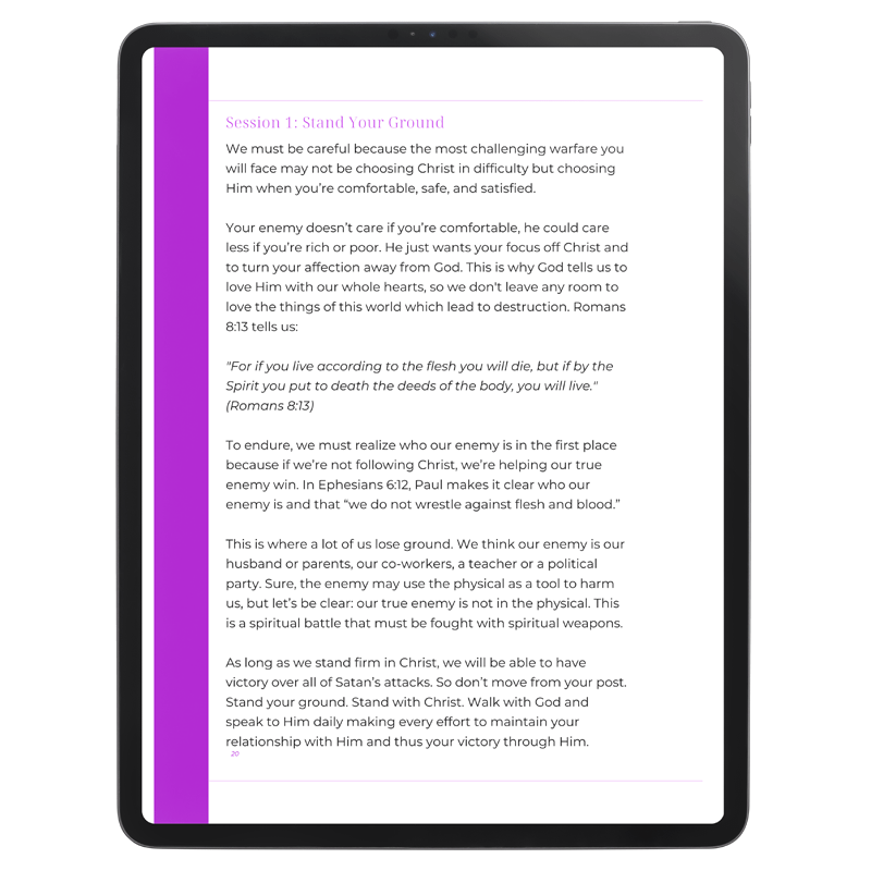 Stand Firm Bible Study Guide product image (3)