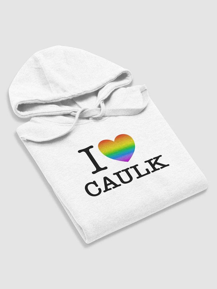 I LOVE CAULK Rainbow / Light Premium Hoodie product image (4)