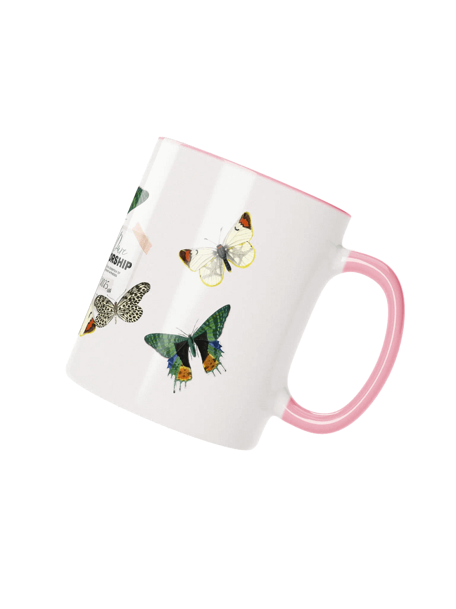 2025 "Pure Worship" Butterfly Collage Two-Tone Glossy Mug product image (3)
