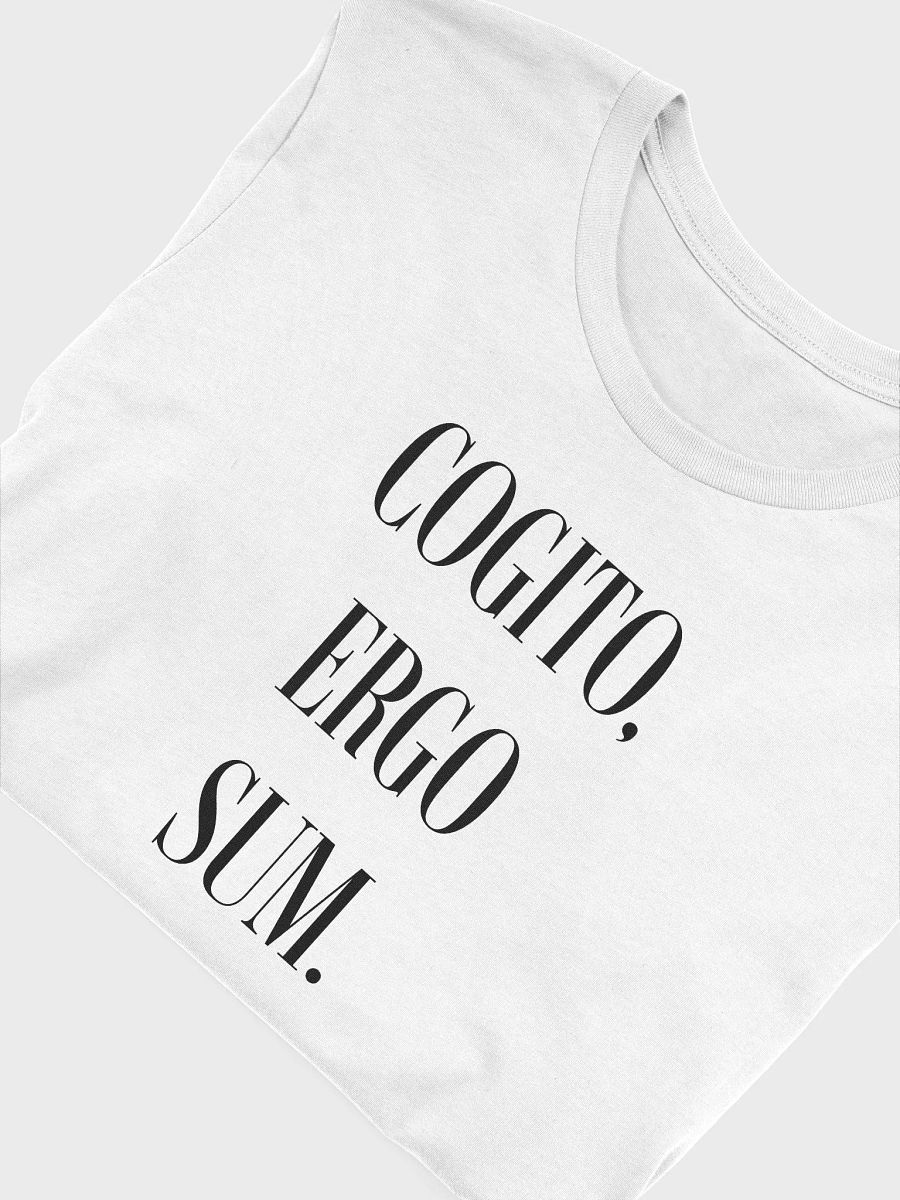 Cogito, Ergo Sum Tshirt product image (7)