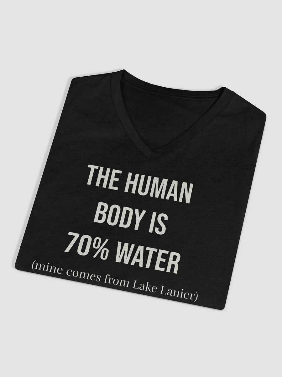 70% Lake Lanier V Neck Ladies Tee product image (3)