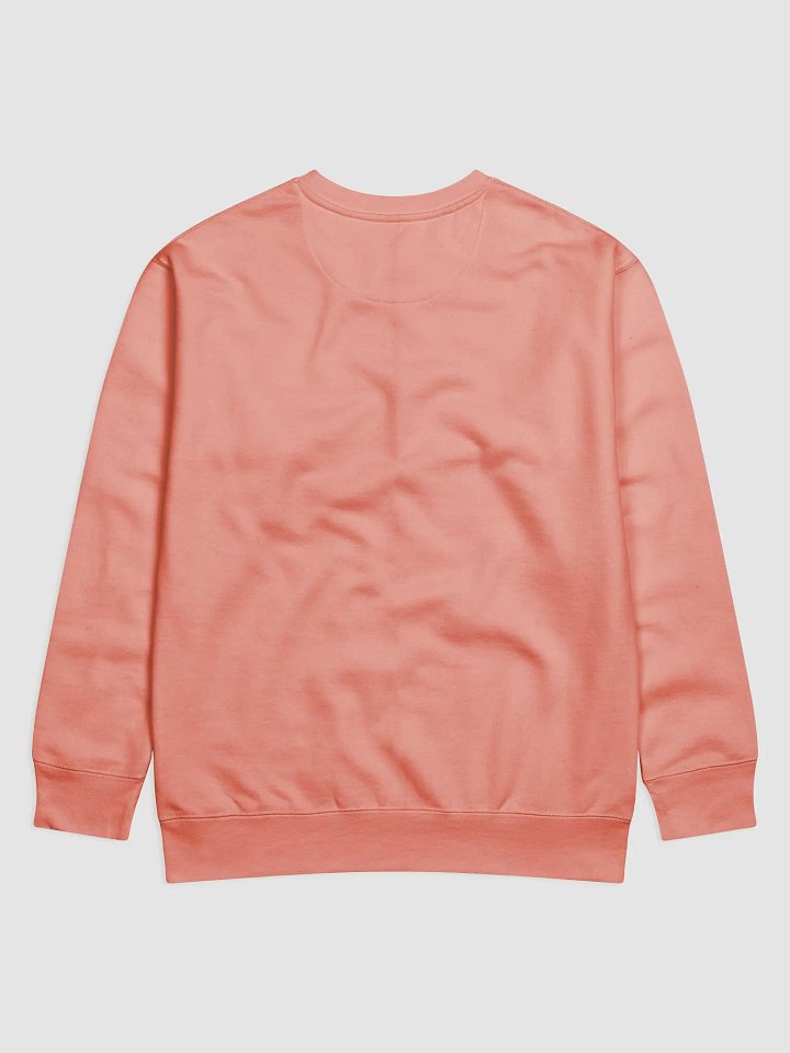 POSSIBLY AUTISTIC - SWEATER product image (2)