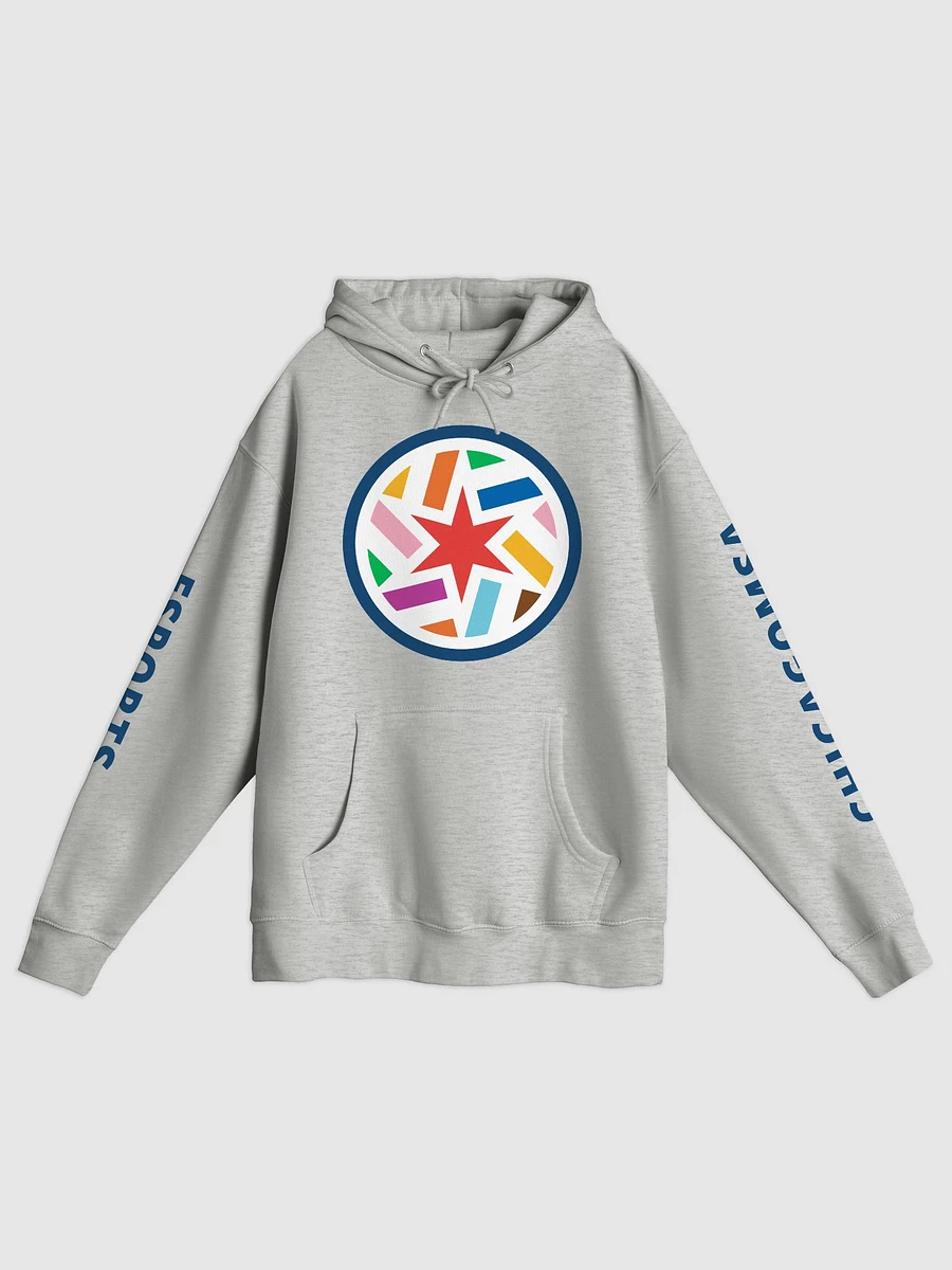 New CMSA Logo Hoodie product image (1)