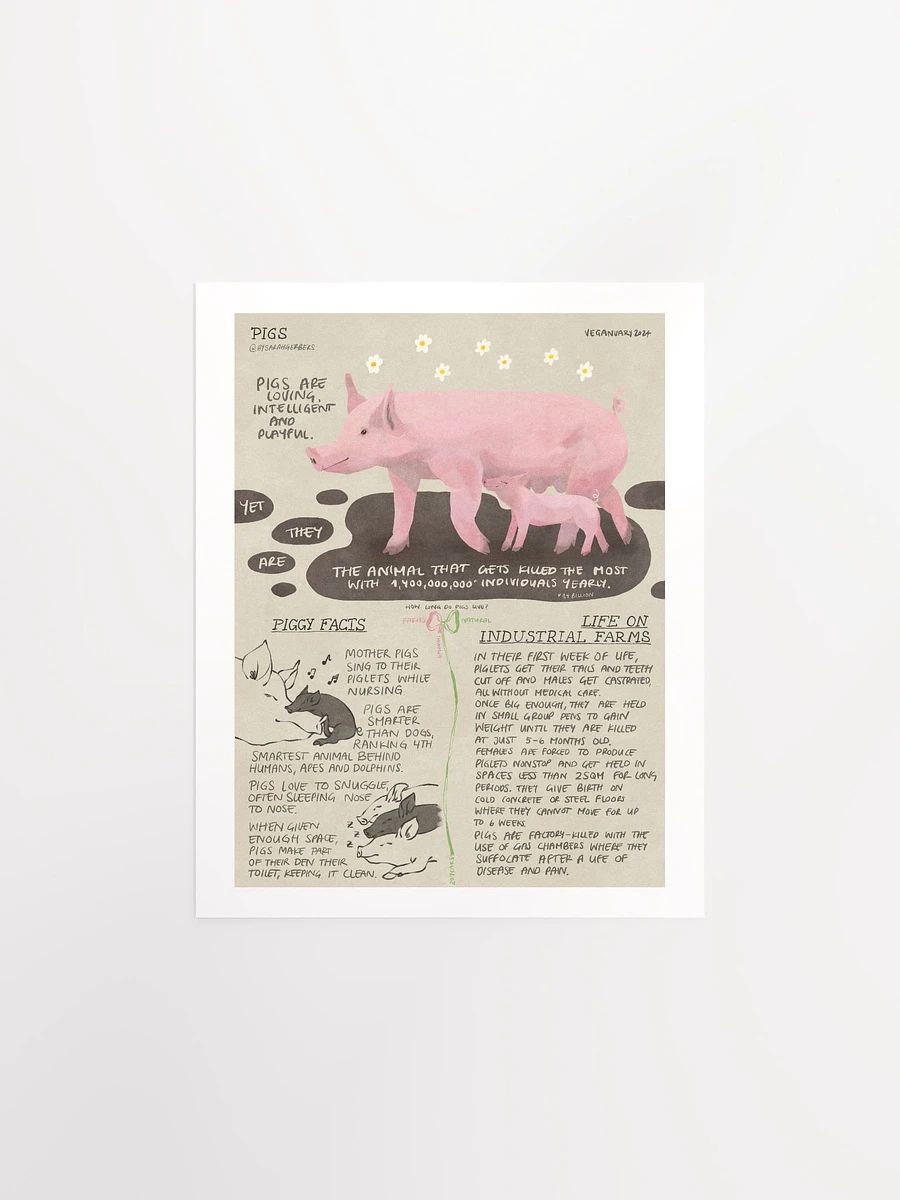 Pig Educational Print – Veganuary 2024 product image (2)