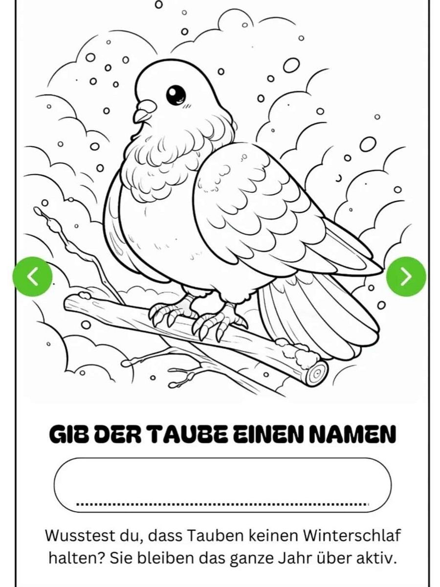 Taubenmalbuch mit Taubeninfos product image (2)