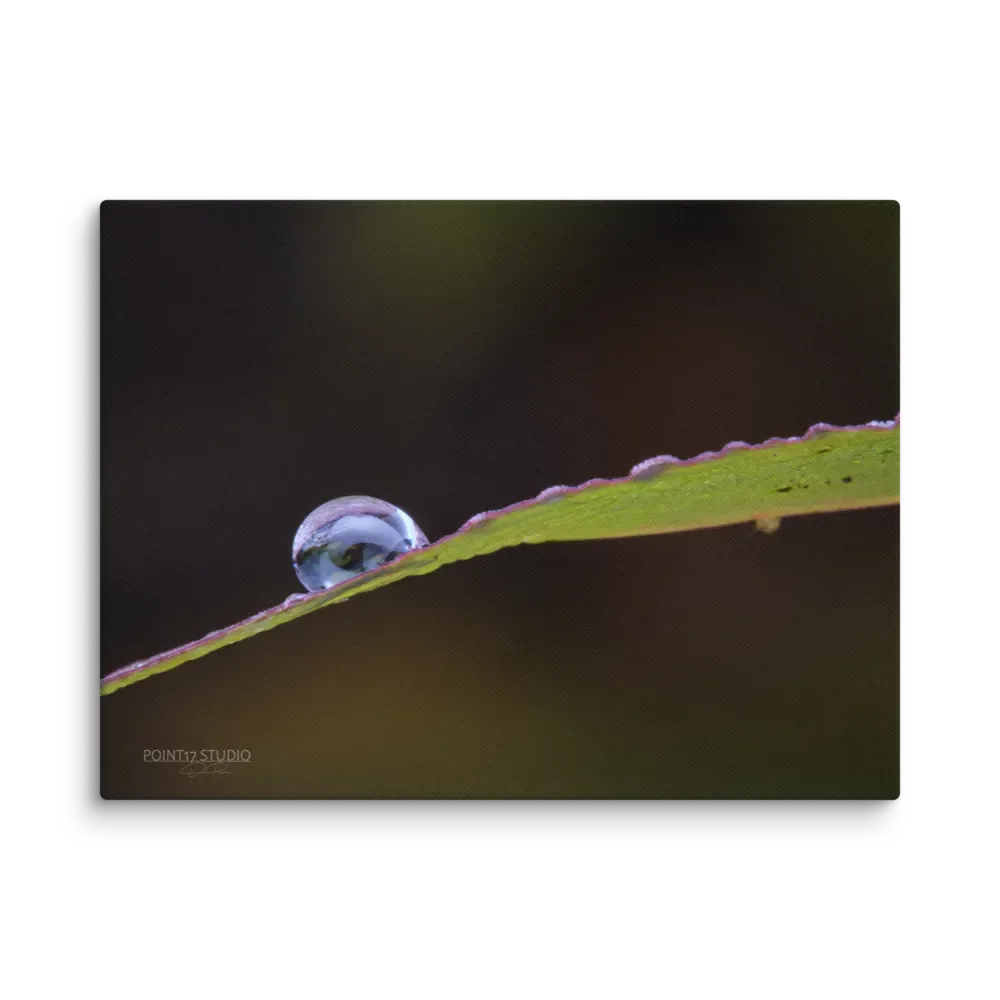 Crystal Ball #2 - Print On Canvas product image (1)