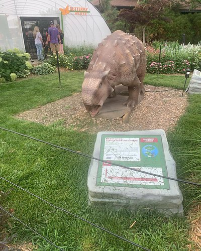 Went to the botanical gardens in my city, saw some really pretty flowers, there was a carousel, a little park and some dinosa...