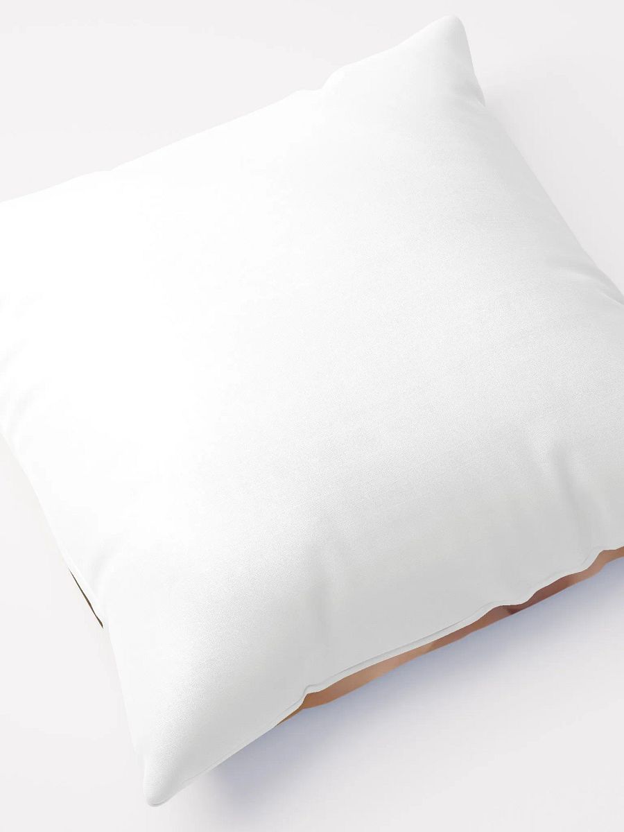Meme Pillow product image (4)