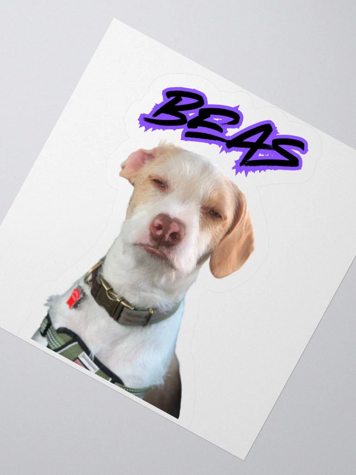 Beasley Judges You product image (4)