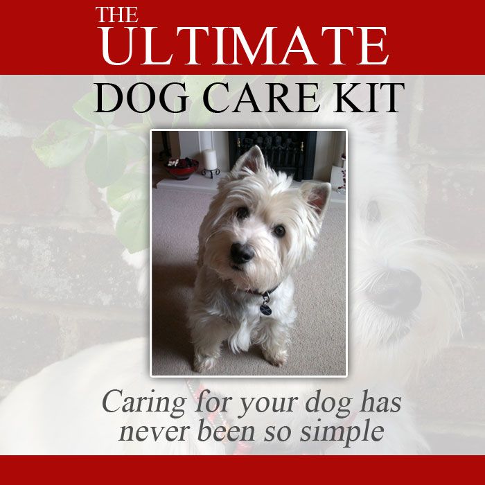 The Ultimate Dog Care Kit product image (2)