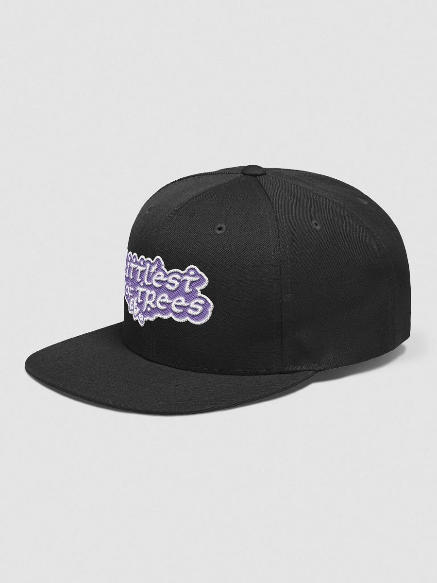 words but a snapback product image (2)