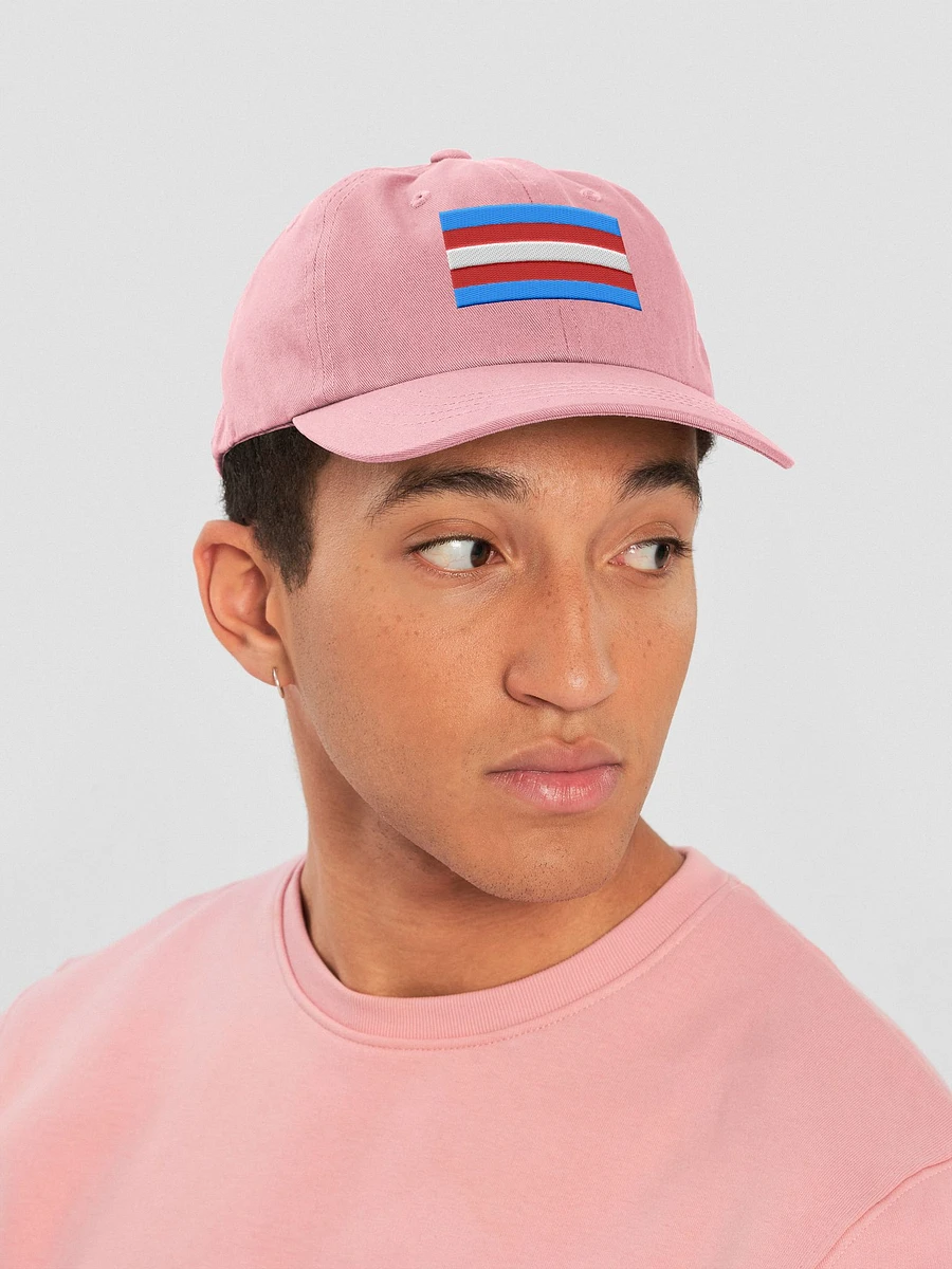 Trans Pride Flag - Embroidered Hat product image (6)