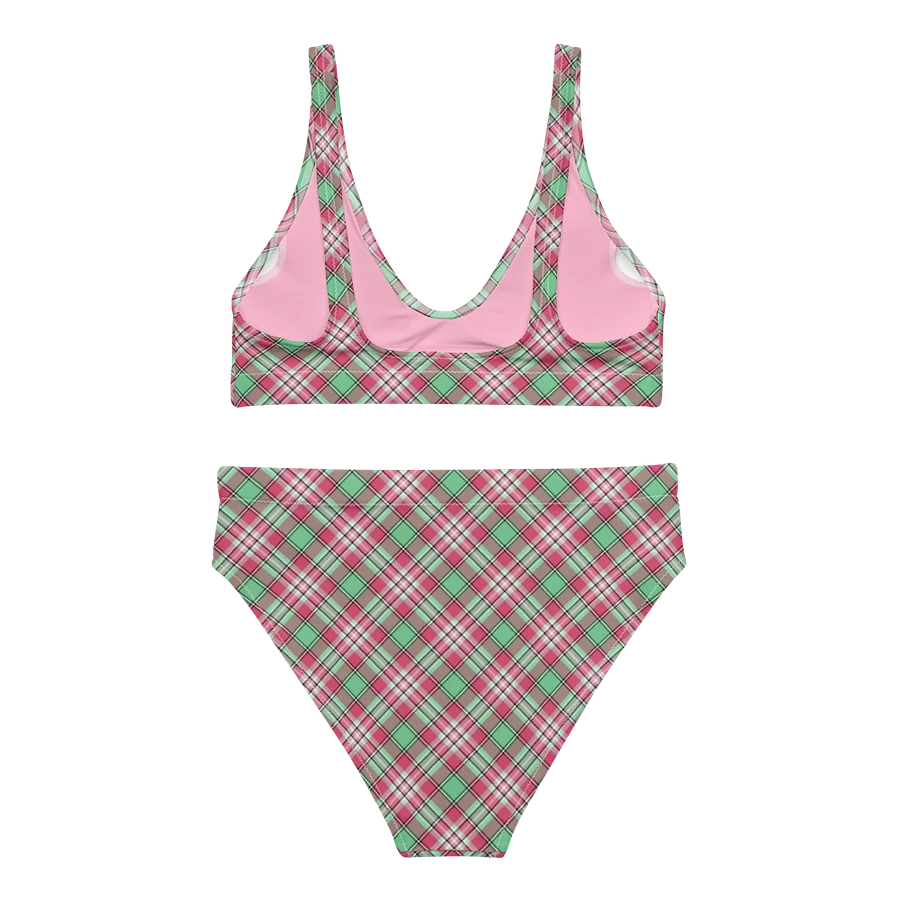 Mint Green and Pink Plaid Bikini product image (4)