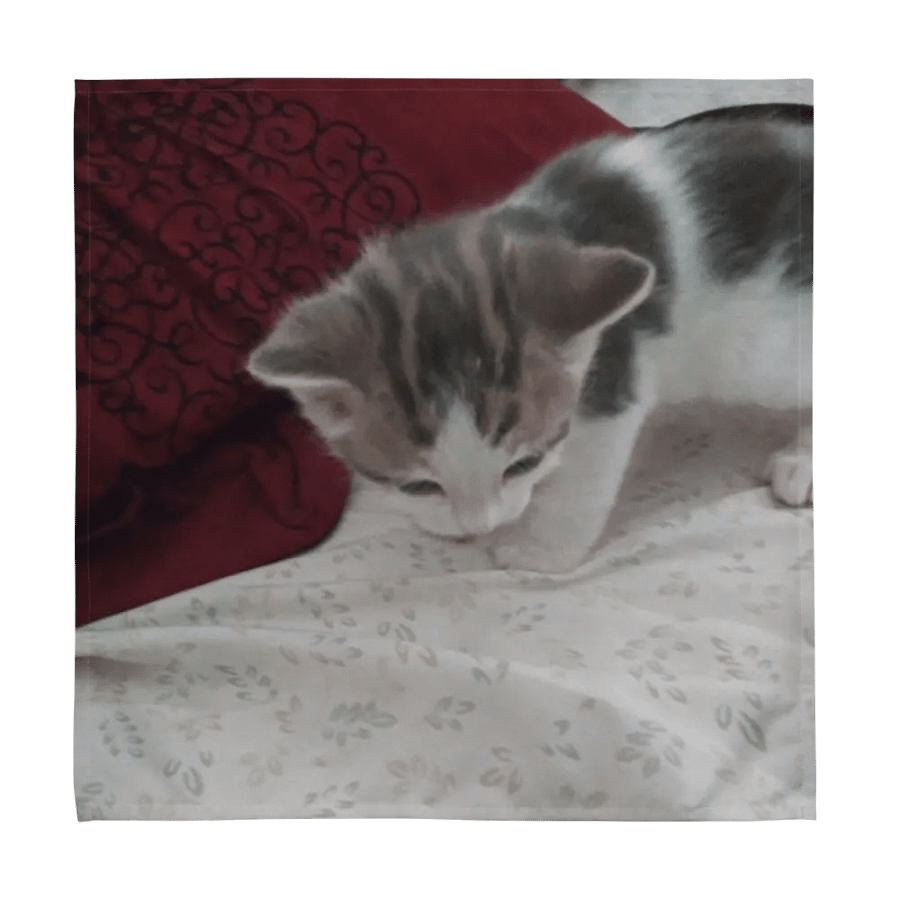 Cute Cats product image (1)