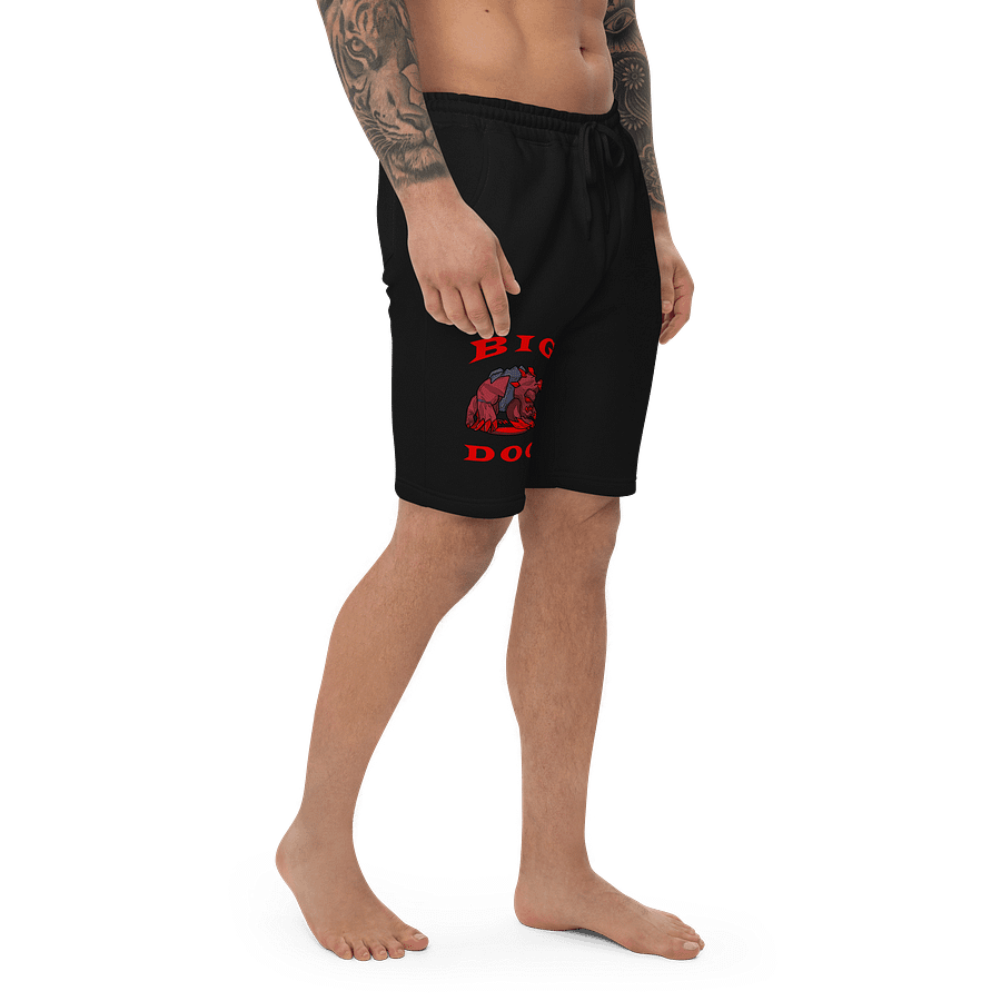 BIG DOG SHORTS product image (2)