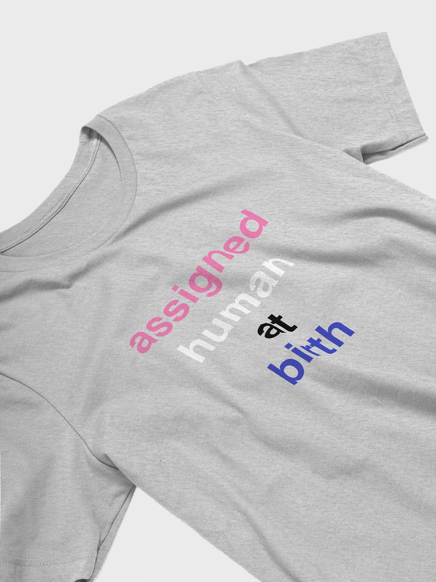 assigned human at birth genderfluid t-shirt product image (3)