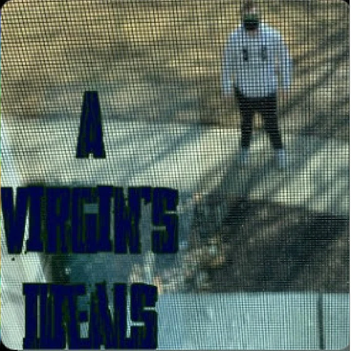 A Virgin's Ideals product image (1)