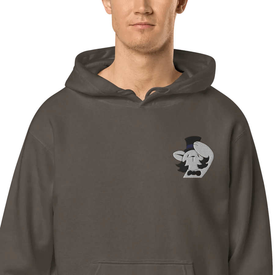 MA o7 Embroidered Hoodie product image (4)