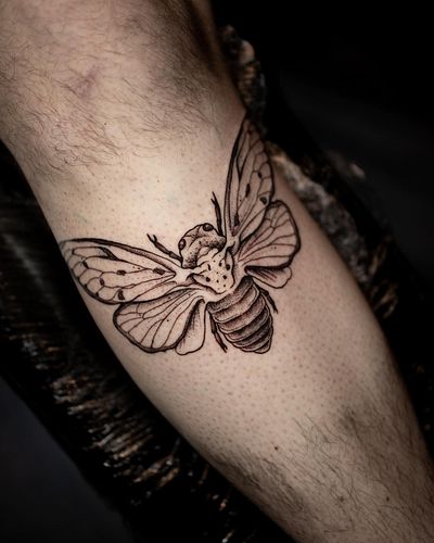Davy is cool now with an under-knee insect tattoo 😎
Thanks 🙌. 

#insecttattoo #blackwork #tattoo