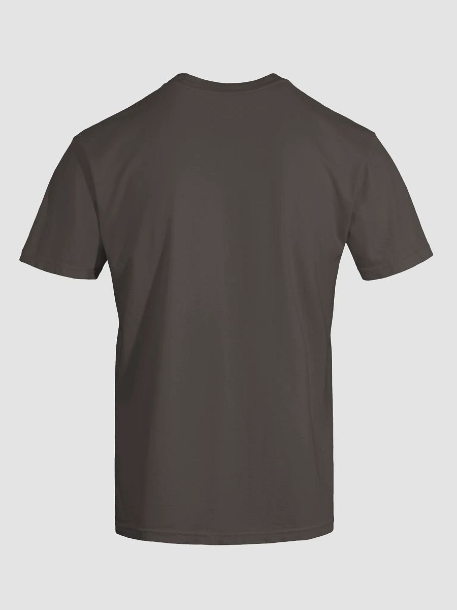 Break Cycles Not Spirits Tee product image (5)