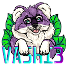 vashi3