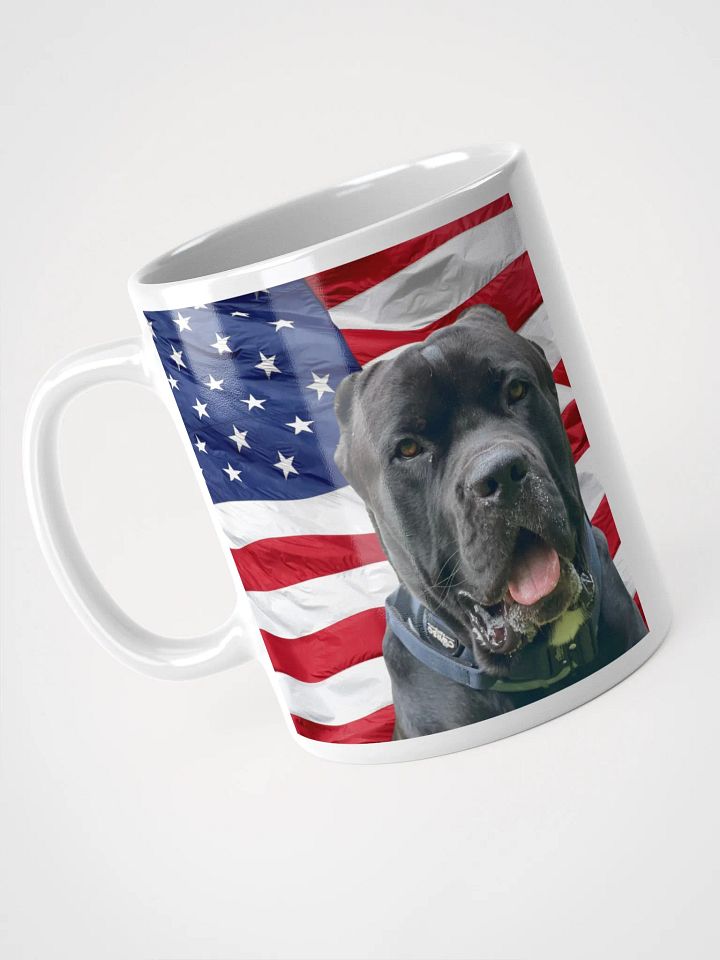 Patriotic Mug Featuring Mars product image (1)