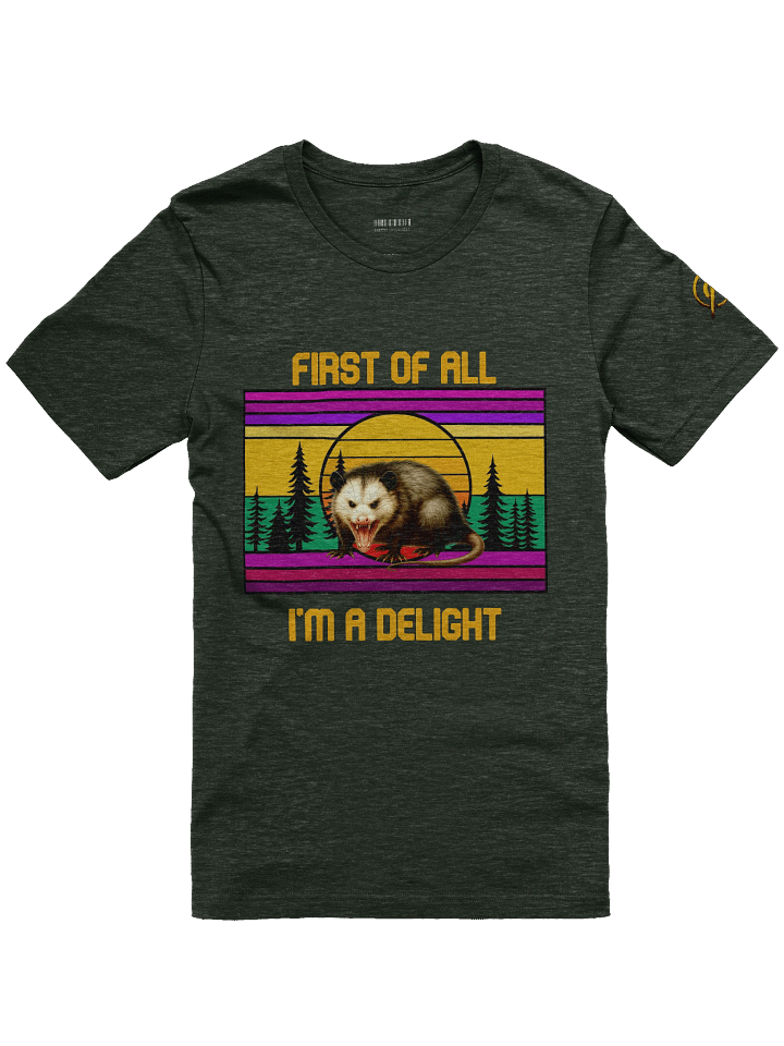 PASP Possum “I’m A Delight” Tee – Fall Edition product image (1)