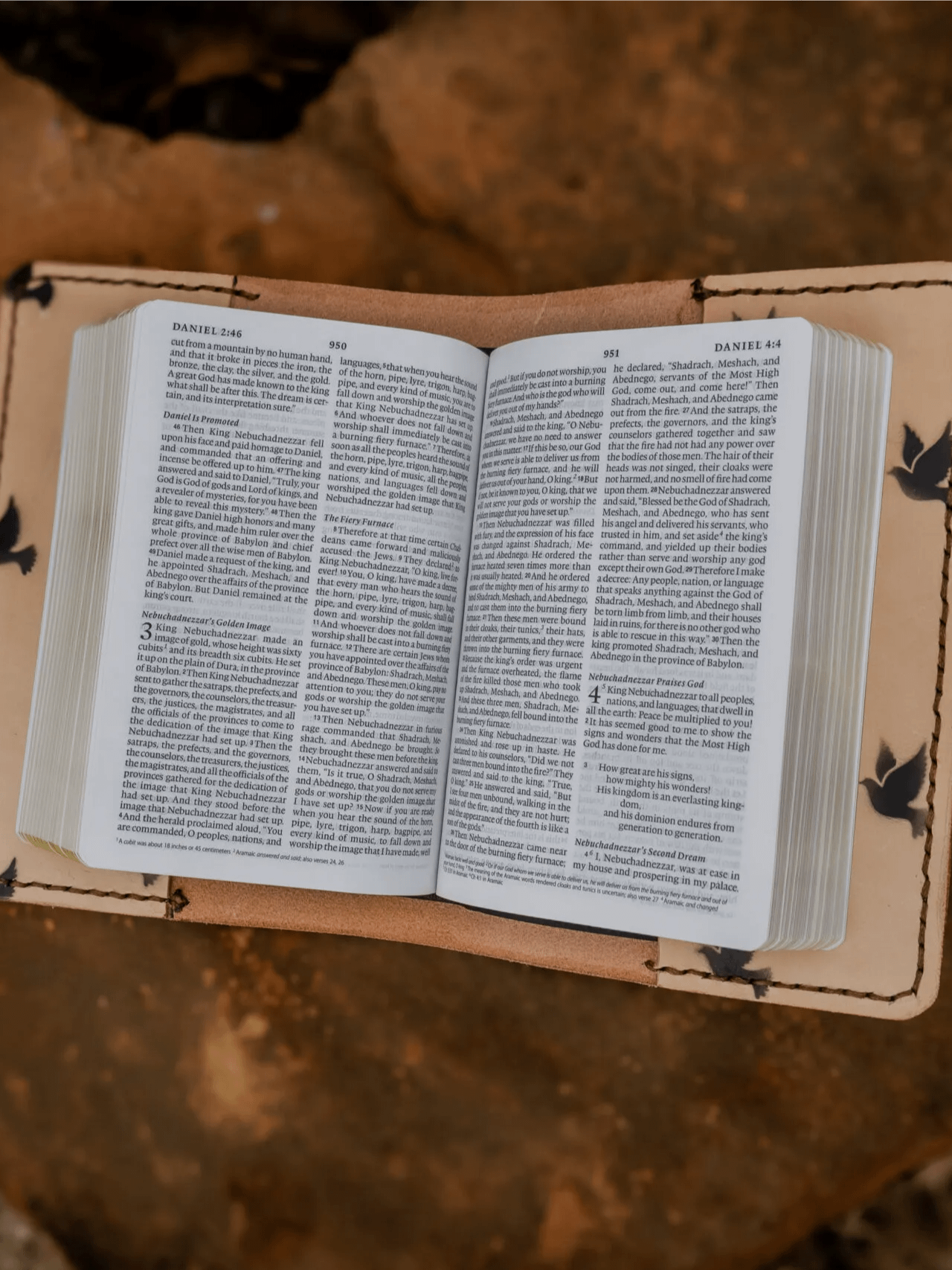 Doves Bible product image (3)