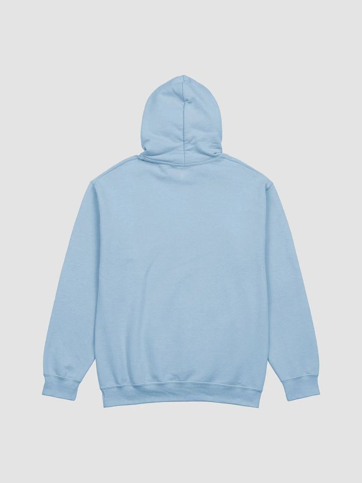 Established 1775 UNISEX hoodie product image (12)