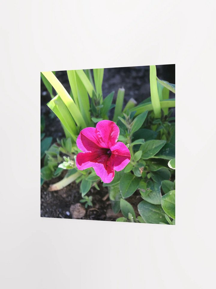 Pink Flower product image (6)
