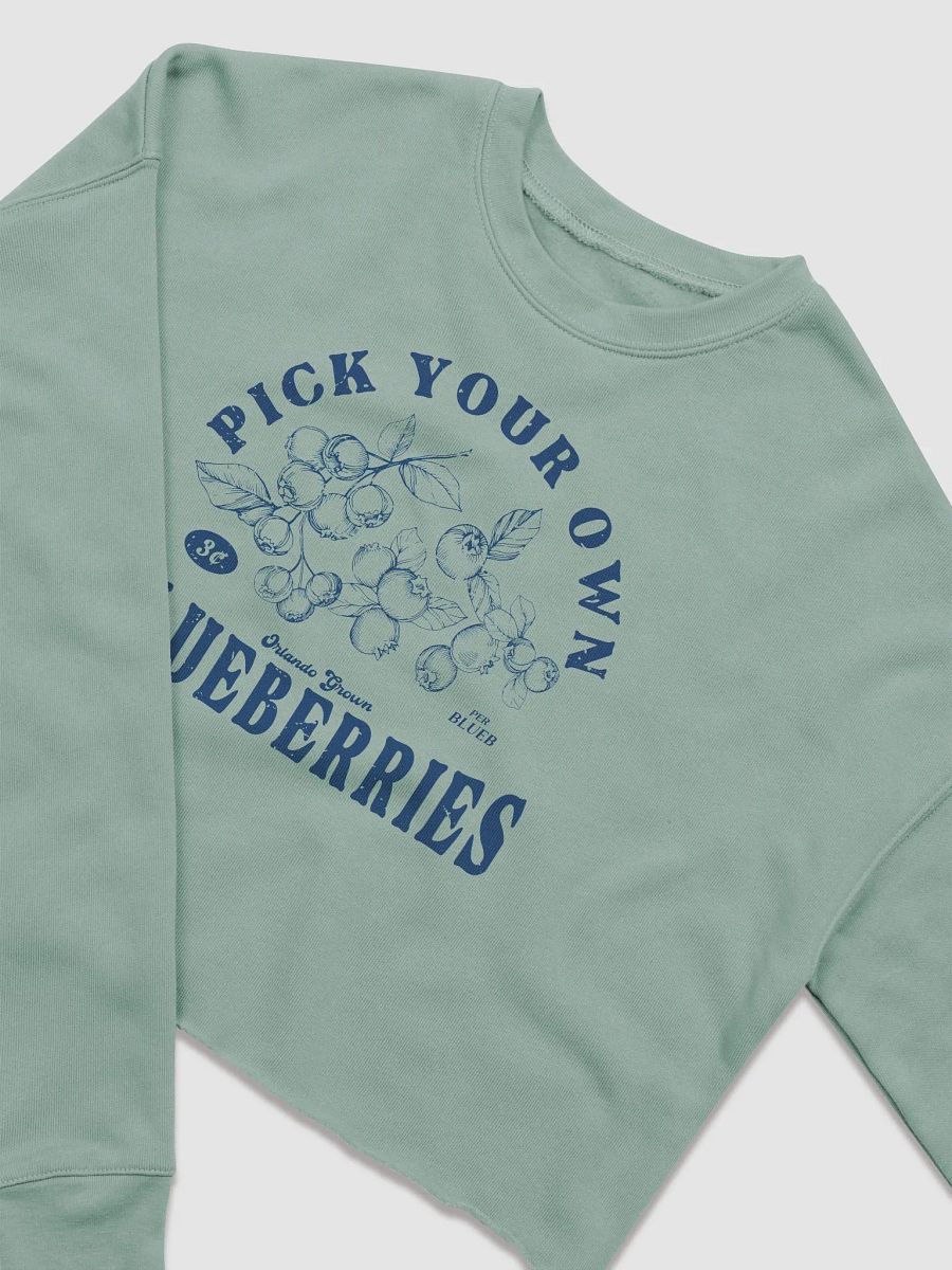 PYOB (Blue) Cropped Hoodie product image (2)