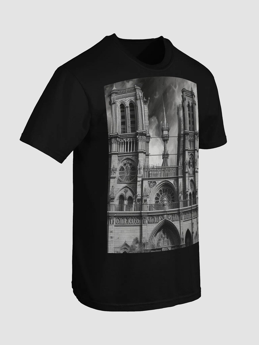 notre dame de paris product image (49)