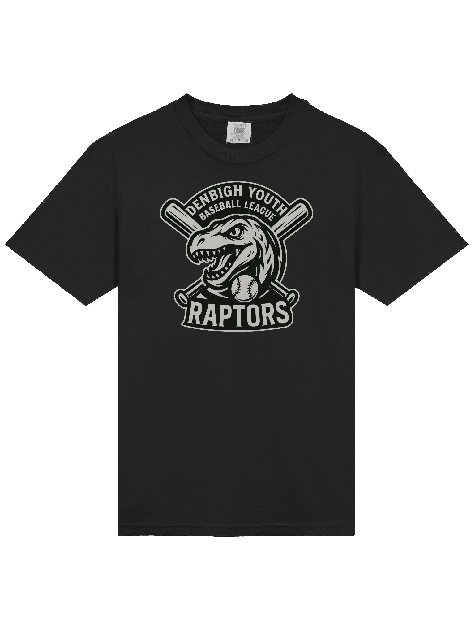 Raptors - Heavyweight T-shirt product image (19)