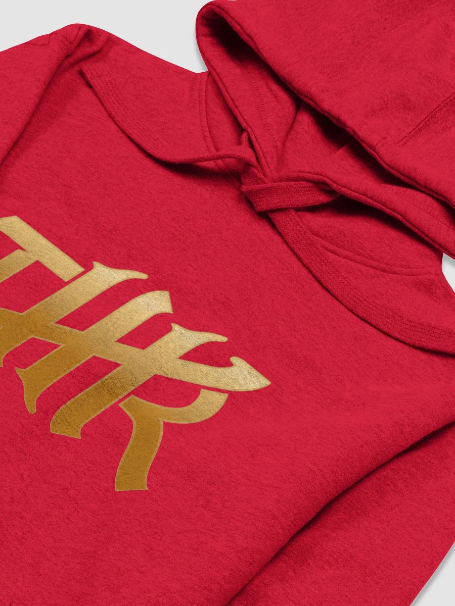 TMR Logo Hoodie product image (27)