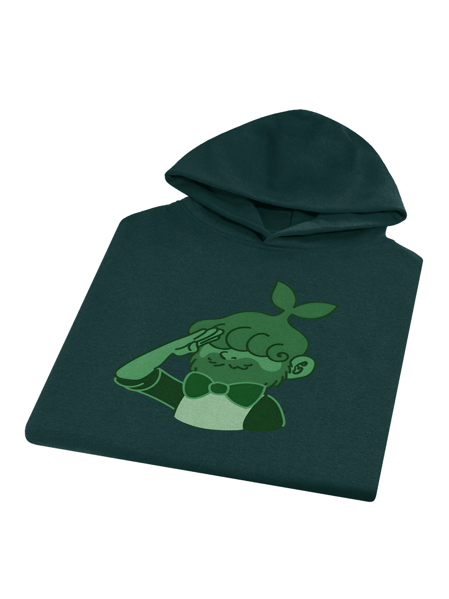 (G) Salute Hoodie product image (3)