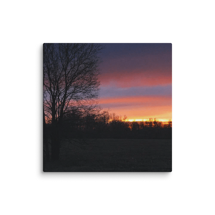 Beauty in the Dusk Canvas product image (1)