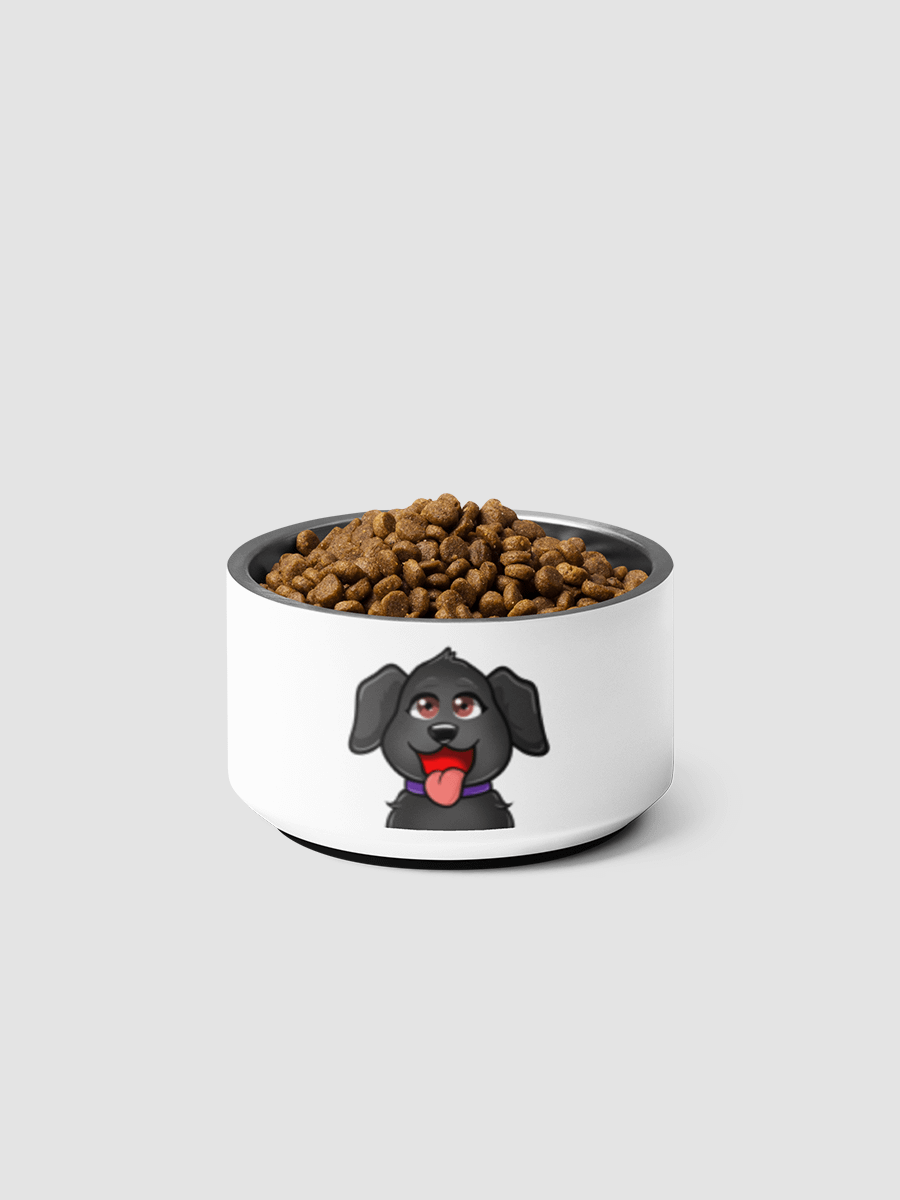 [Mattmania30] Pet bowl product image (3)