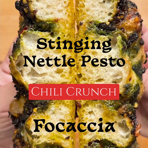Stinging Nettle Pesto x Chili Crisp Focaccia

Little overproofed, but thats okay. Have Fun With Your Food! 

#focaccia #chili...