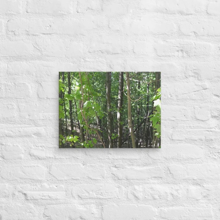 Empire Bluff Forest Canvas product image (12)