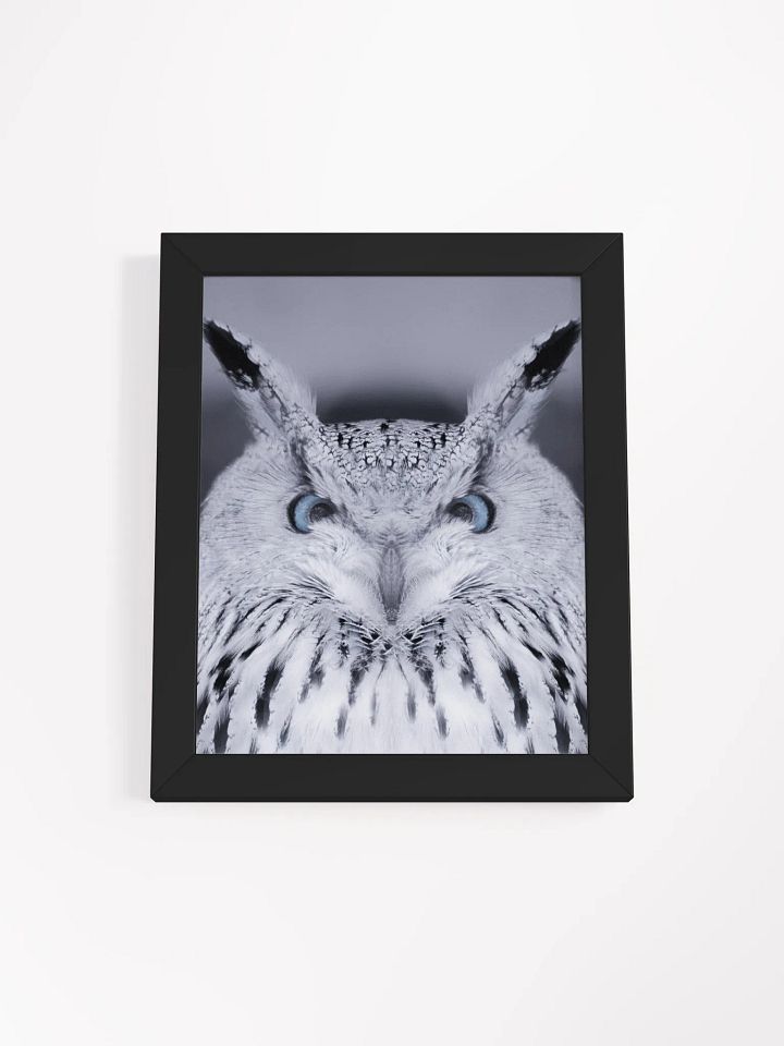 Symmetrical Owl Wisdom Framed Poster product image (10)