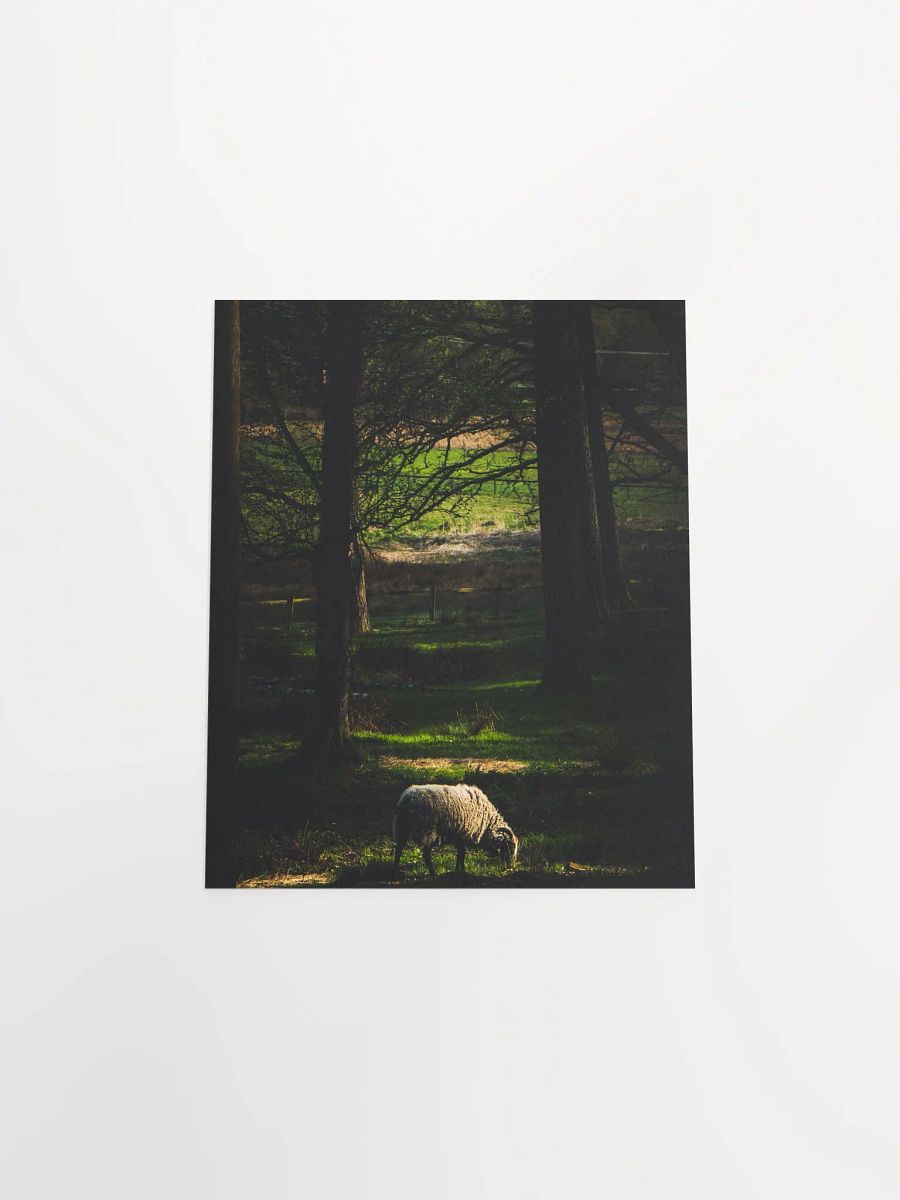 The Goat product image (12)