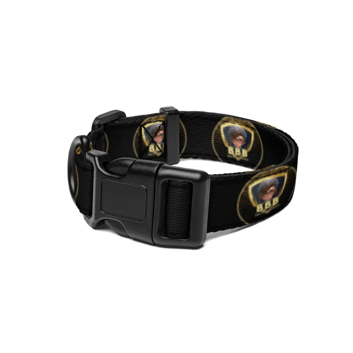 Kaleidoscope Pet Collar BBB Logo product image (1)