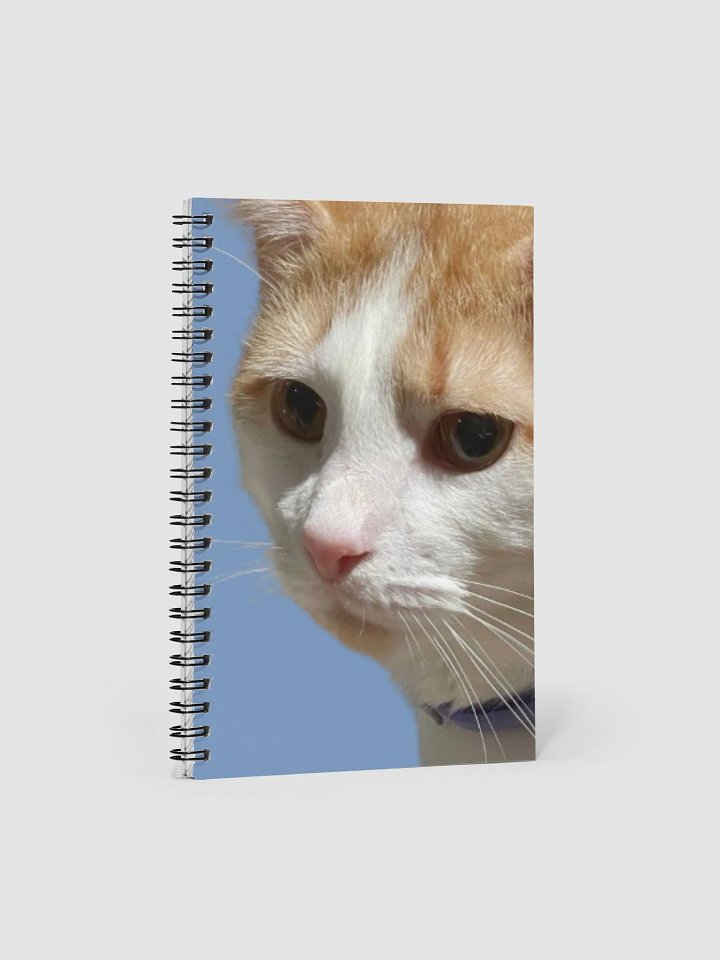 Thurston's Journal product image (1)