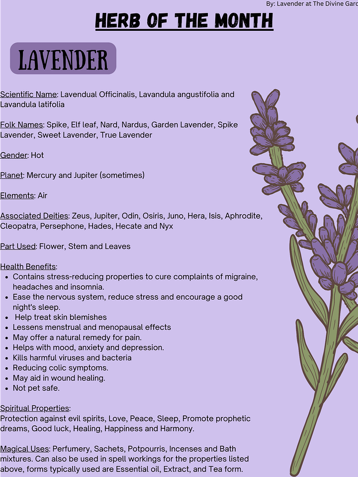 Lavender product image (1)