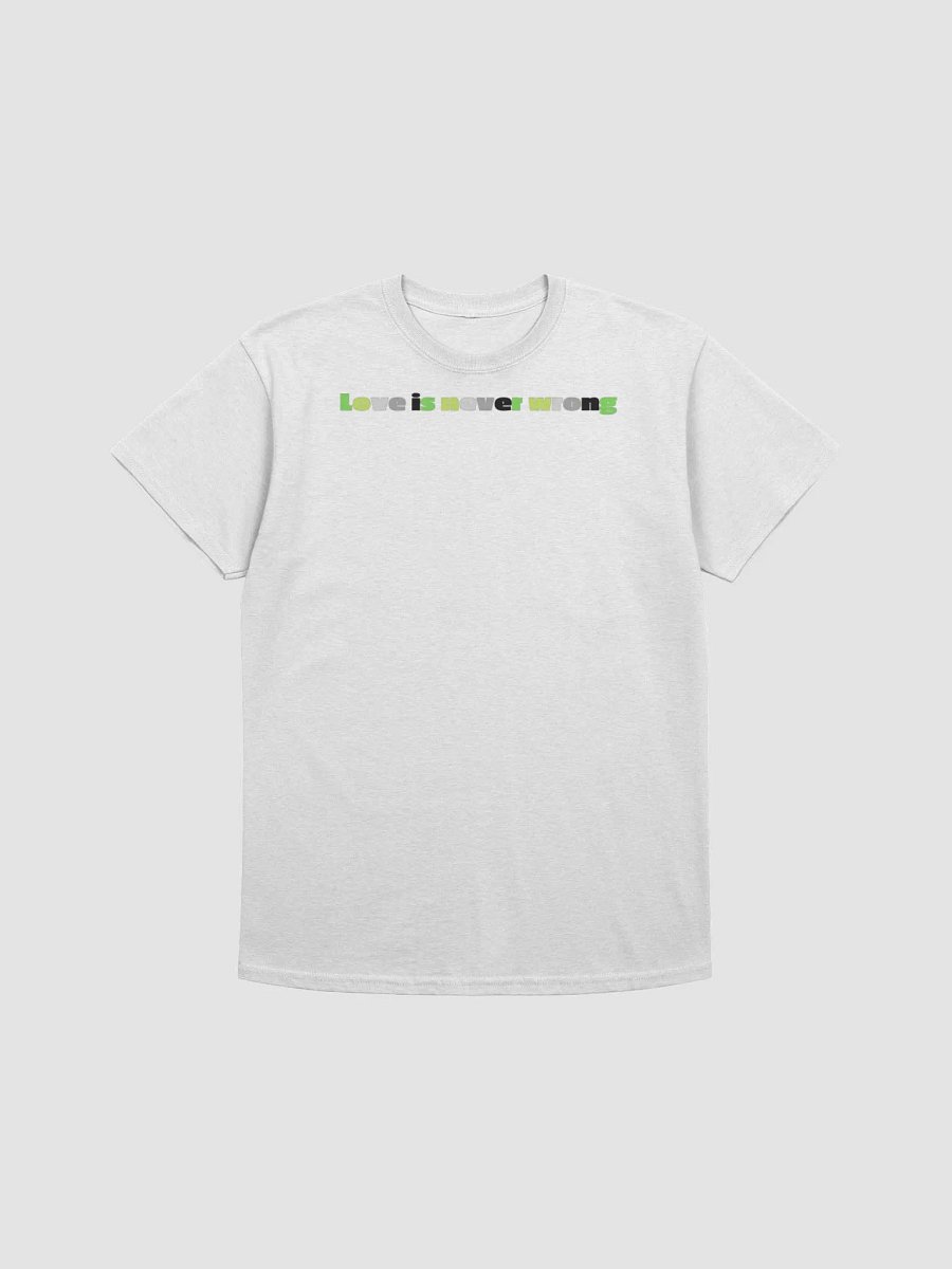 Love Is Never Wrong - Aromantic v2 product image (3)