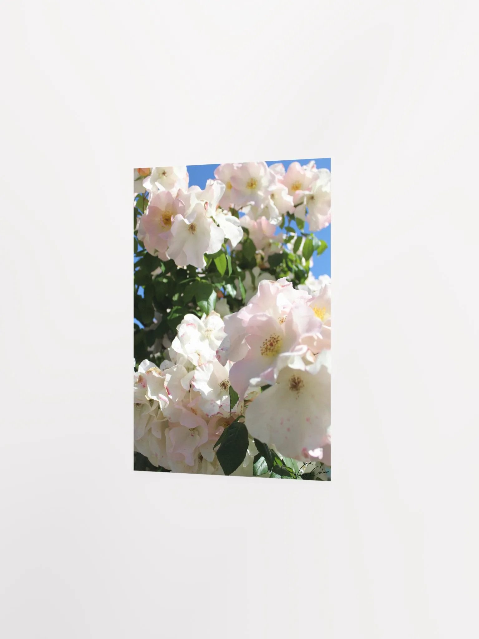 Spring Flowers Print product image (3)