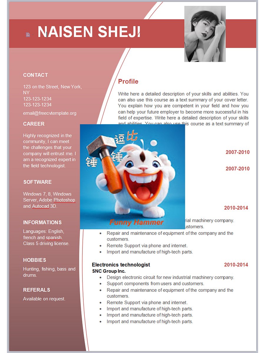 180 sets of English resume templates/英文履歷模板180套 product image (3)