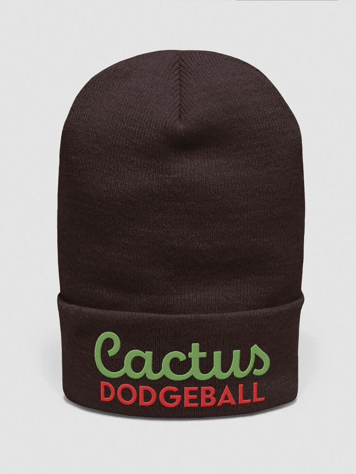 Cactus Dodgeball 