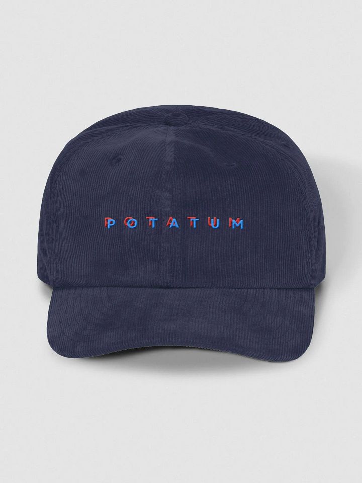 POTATUM 3D corduroy dad hat product image (26)