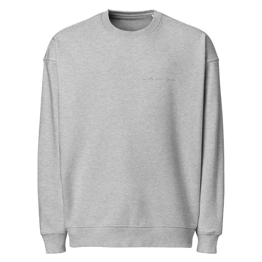 Organic Oversized Sweatshirt (Unisex) product image (1)